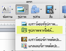 บนแท็บ หน้าแรก ของ Ribbon ภายใต้ แทรก ให้คลิก รูปภาพ > รูปภาพจากไฟล์