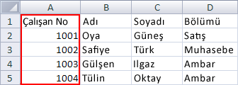 Çalışanlar hakkında veri içeren Excel tablosu