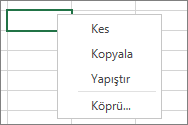 Kopyala, Kes ve Yapıştır komutlarını görmek için sağ tıklatma