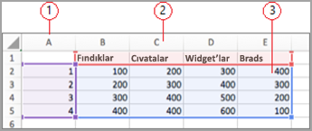 Excel'de veri alanları