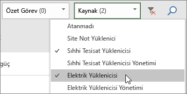 Görev Panosunda iki kaynağın seçili olduğu Kaynakları Filtrele açılan menüsünün ekran görüntüsü