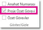 Proje özet görevini gösterme