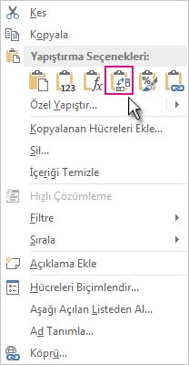 Yapıştırma Seçenekleri menüsü