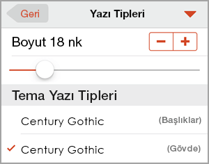 Yazı tipi boyutu seçme