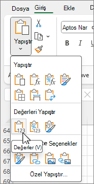 Seçenekler galerisindeki Değerleri yapıştır düğmesi