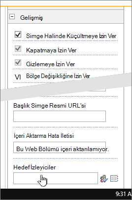 Hedef kitlenin vurgulandığı web bölümü özellikleri gelişmiş bölümü