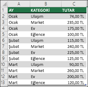 Ay, Kategori ve Miktar alanlarına sahip bir PivotTable oluşturmak için örnek ev harcaması verileri