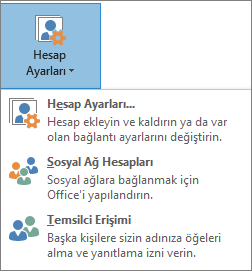 Outlook'ta temsilci ekleme ekran görüntüsü