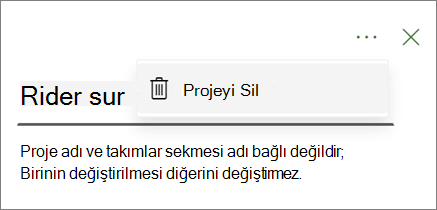 Project Teams sekmesindeki üç nokta açılan listesinde Projeyi sil komutunu gösteren ekran görüntüsü.