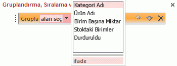 Gruplandırma, Sıralama ve Toplam bölmesinde alan listesi