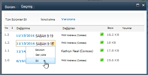 Bir sürümde Sil'in vurgulandığı Sürüm Geçmişi