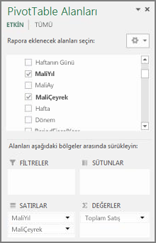 PivotTable Alan Listesi