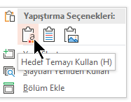 Yapıştırma Seçenekleri'nin altında ilk seçenek olan Hedef Temayı Kullan'ı seçin