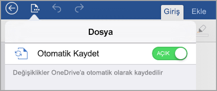 Otomatik Kaydet