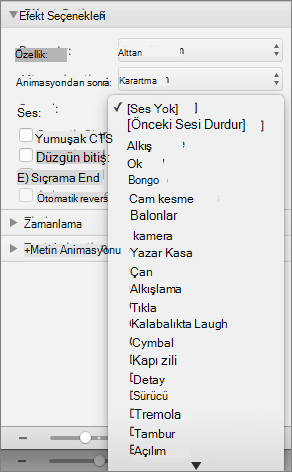 Ekran görüntüsü, Ses menüsünü genişletilmiş Animasyonlar bölmesinin Efekt Seçenekleri bölümünü gösterir.