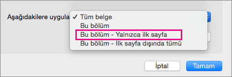 Yalnızca İlk sayfa seçeneğinin vurgulandığı Şuna uygula menüsü