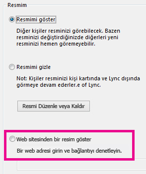 Lync resmim seçenekleri penceresinin, web sitesinden resim seçme öğesi vurgulanmış olan bölümünün ekran görüntüsü