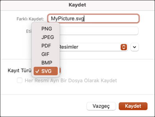 Mac için PowerPoint 2021’de SVG seçeneği belirlenmiş Farklı Kaydet iletişim kutusu