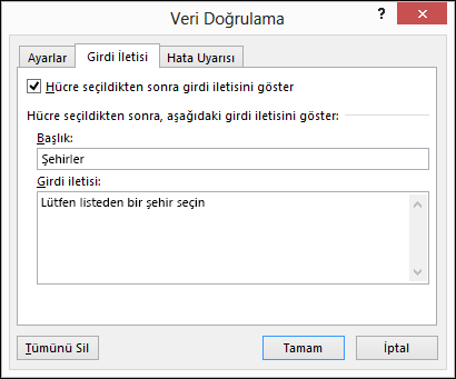 Veri Doğrulama Girdi İletisi seçeneği