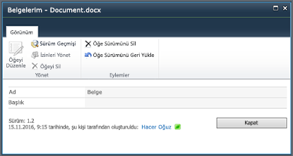SharePoint 2010 sürüm geçmişi iletişim kutusu