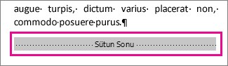 "Biçimlendirmeyi Göster" açıkken sütun sonunu seçme