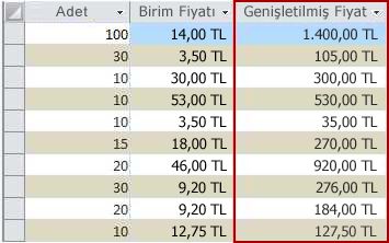 Veri Sayfası görünümünde gösterilen hesaplanmış bir alan.