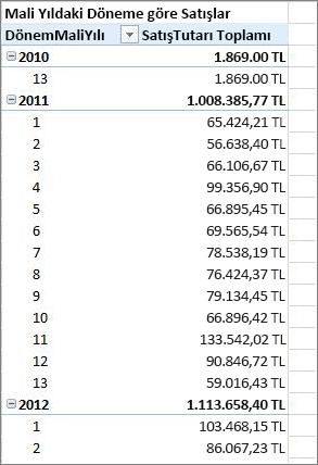 Mali yıl için örnek PivotTable