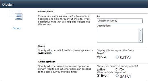 SharePoint 2010 Anket seçenekleri sayfası