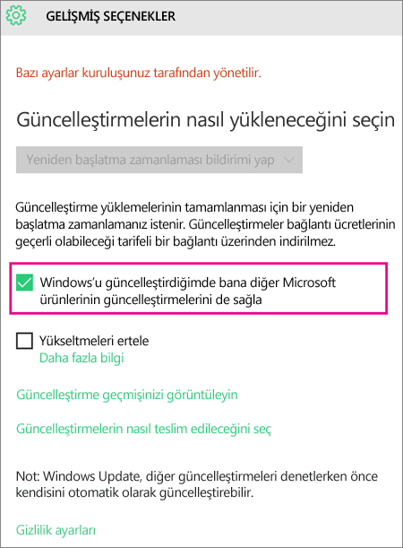 Windows Update Gelişmiş seçenekler