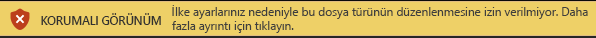 Dosya Bloğu tarafından engellenen dosyalar ve düzenleme izni olmayan durumlar için Korumalı Görünüm