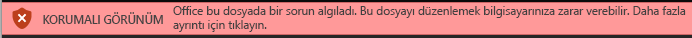 Office Dosya Doğrulaması’nı geçemeyen belgeler için Korumalı Görünüm
