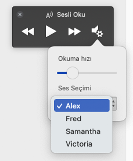 Tam Ekran Okuyucu Sesli Okuma özelliği için dört ses seçimi seçenekleri görüntüleniyor