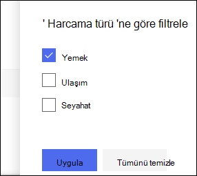 SharePoint Çevrimiçi Liste Filtresi Bölmesi