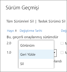 Sürüm öğesi menüsü