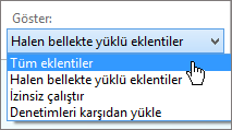 Şu anda yüklü eklentiler açılan kutusunu gösteren Eklentileri Yönet iletişim kutusu.