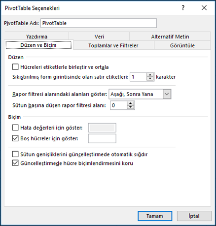 PivotTable Seçenekleri iletişim kutusu