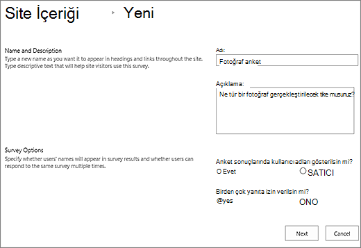 Metin kutuları doldurulmuş yeni anket iletişim kutusu.