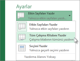 Ayarlar altında, Tüm Çalışma Sayfasını Yazdır öğesini tıklatın