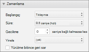 Ekran görüntüsü, Başlangıç, Süre, Gecikme ve Yineleme seçeneklerinin ve Yürütme bitince geri sar seçeneği için bir onay kutusunun bulunduğu Animasyonlar bölmesinin Zamanlama bölümünü gösterir.