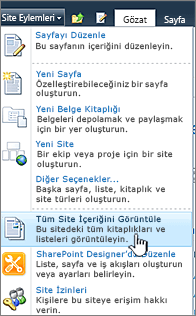 Site eylemleri menüsünde tüm site içeriğini görüntüleme