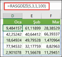 En Küçük, En Büyük ve Ondalık bağımsız değişkenleriyle RASGDİZİ işlevi