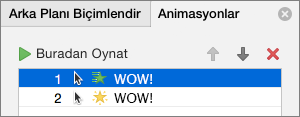 Özellikler bölmesinde animasyon seçeneklerini ayarlayın