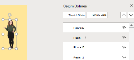 Seçim Bölmesini Gösterir