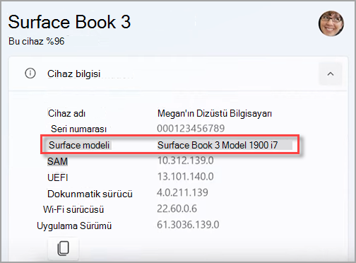 Surface uygulamasında Surface cihazınızın model adını bulma.