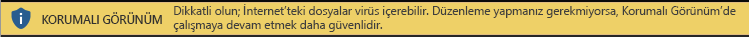 İnternet’ten alınan belgeler için Korumalı Görünüm