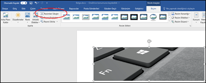 Resim Araçları Biçim sekmesinin ayarla grubundaki Resmi Sıkıştır düğmesi