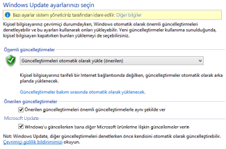 denetim masası'nda windows 8 windows update ayarları