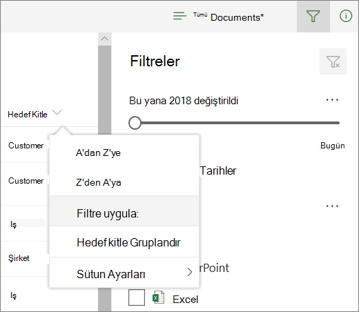 Filtre panelini açmak için Filtrele'ye tıklayın