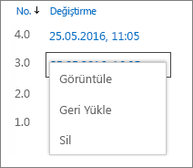 Sürüm geçmişi seçenekleri (görüntüleme, geri yükleme, silme)