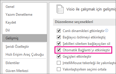 Tüm diyagramlar ve çizimlerde Otomatik Bağlantı'yı etkinleştirmek veya devre dışı bırakmak için Otomatik Bağlantıyı Etkinleştir'i işaretleyin veya işareti temizleyin.